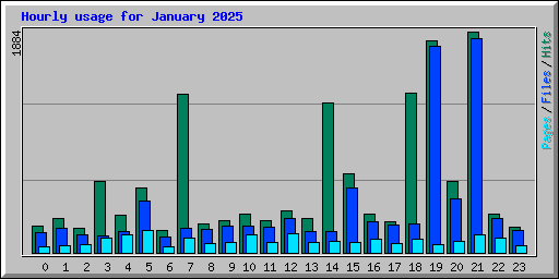 Hourly usage for January 2025