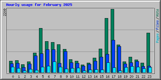 Hourly usage for February 2025