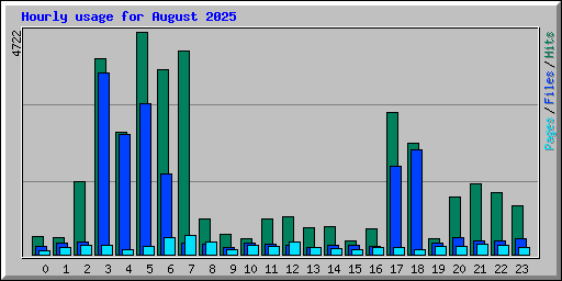 Hourly usage for August 2025