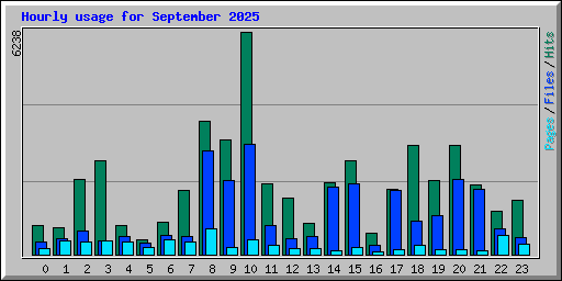 Hourly usage for September 2025