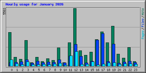 Hourly usage for January 2026