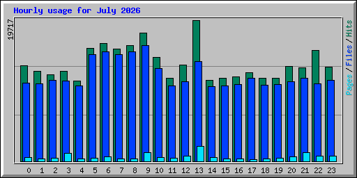 Hourly usage for July 2026