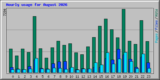 Hourly usage for August 2026
