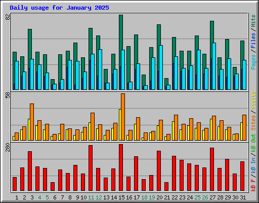 Daily usage for January 2025