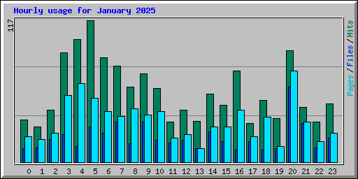 Hourly usage for January 2025