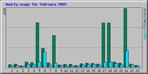 Hourly usage for February 2025