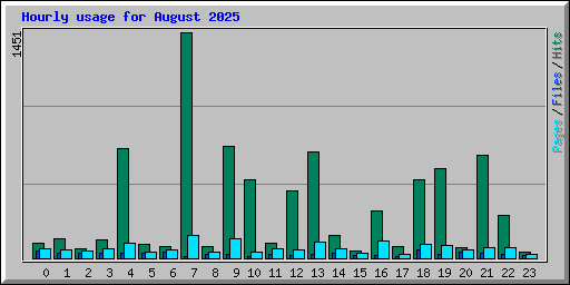 Hourly usage for August 2025