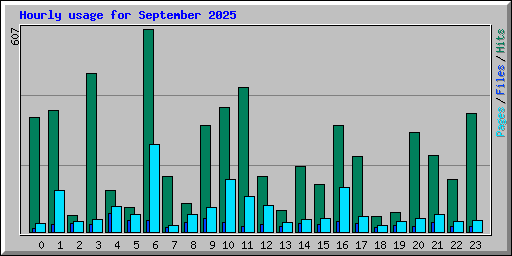 Hourly usage for September 2025