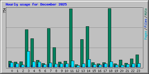 Hourly usage for December 2025
