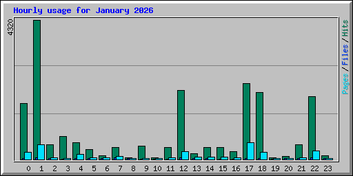 Hourly usage for January 2026
