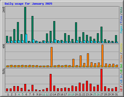 Daily usage for January 2025