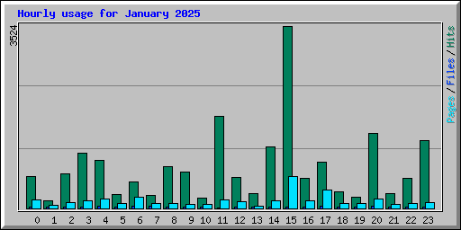 Hourly usage for January 2025