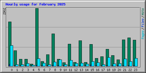 Hourly usage for February 2025