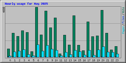 Hourly usage for May 2025