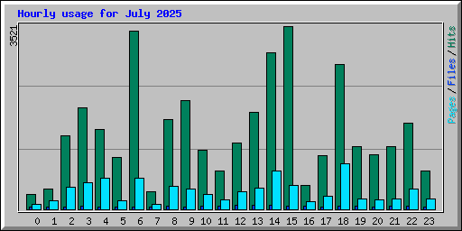 Hourly usage for July 2025