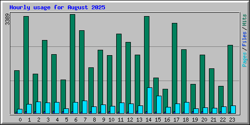 Hourly usage for August 2025
