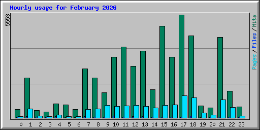Hourly usage for February 2026
