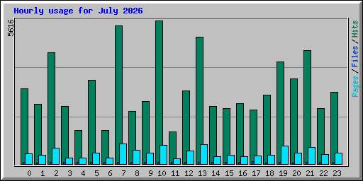 Hourly usage for July 2026